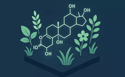Saponine - Nährstoffe in der Ernährung - Illustration