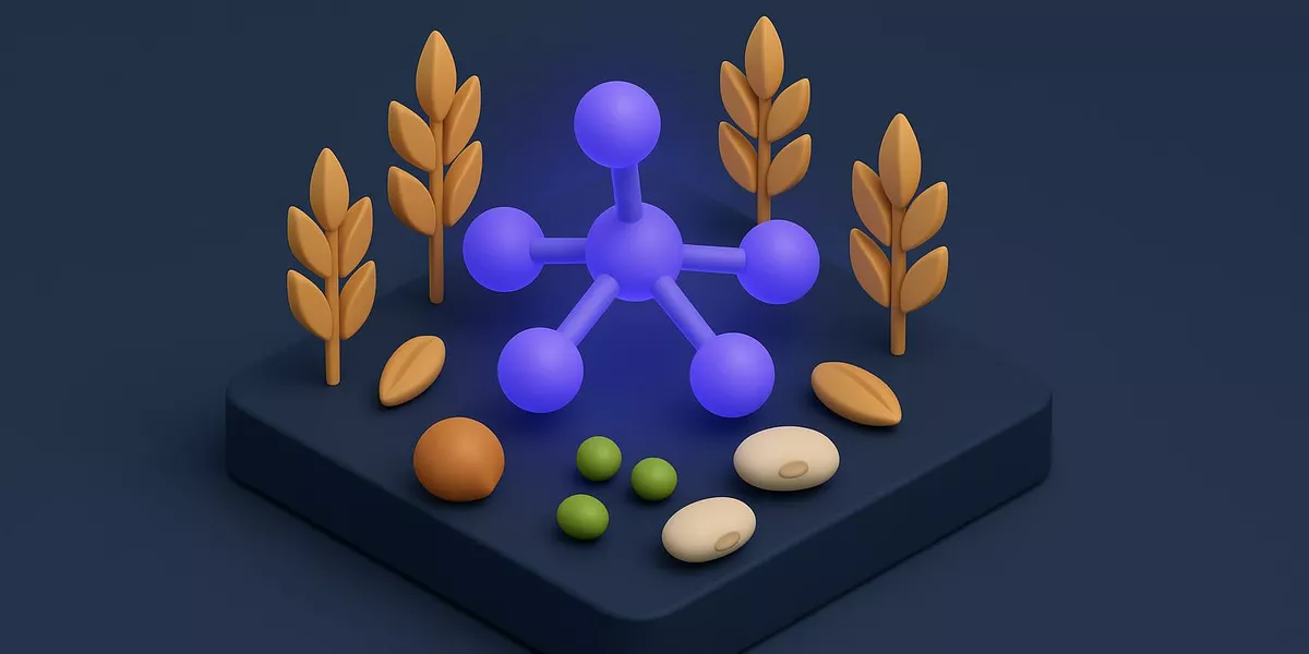 Phytinsäure - Nährstoff in der Ernährung - Illustration