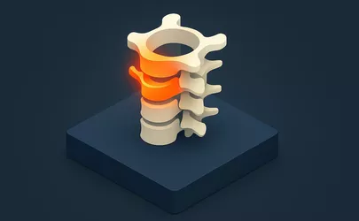 Vertebrae Cervicalis - Anatomie der Wirbelsäule - Illustration