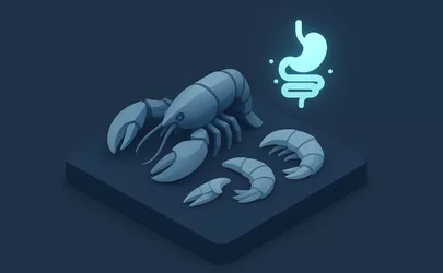 Chitosan - Nährstoff in der Ernährung - Illustration
