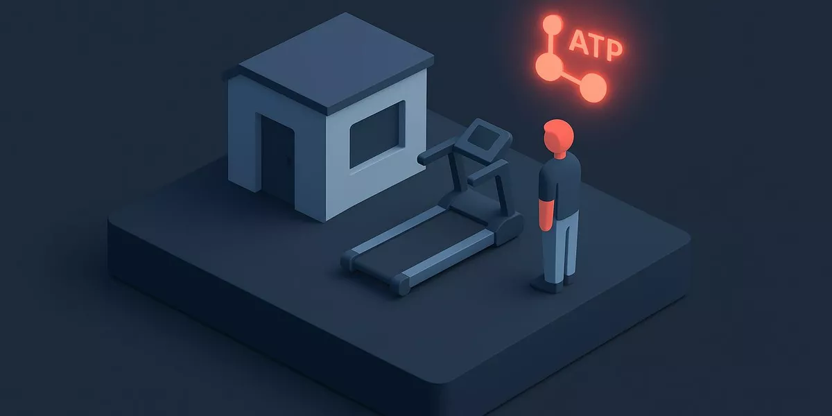 Aerobe Energiegewinnung - Kategorie Fitness - Illustration