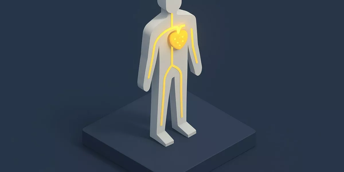 Cholesterin - Ernährung und Stoffwechsel - Illustration