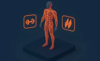 Kraft - Kategorie Fitness / Training - Illustration