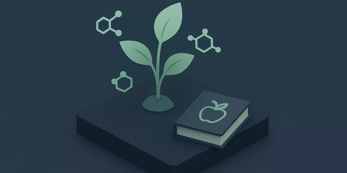 Phytooestrogene - Nährstoffe in der Ernährung - Illustration