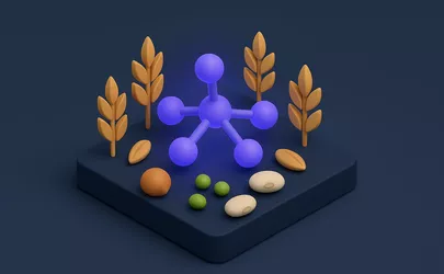 Phytinsäure - Nährstoff in der Ernährung - Illustration
