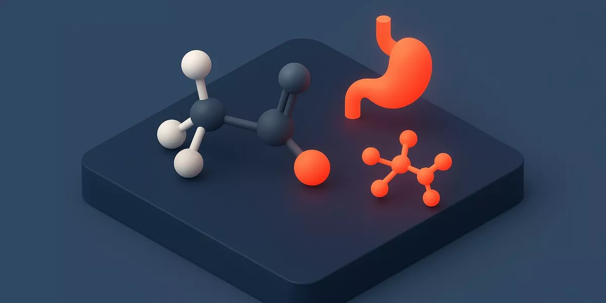 Ketone - Ernährung und Stoffwechsel - Illustration
