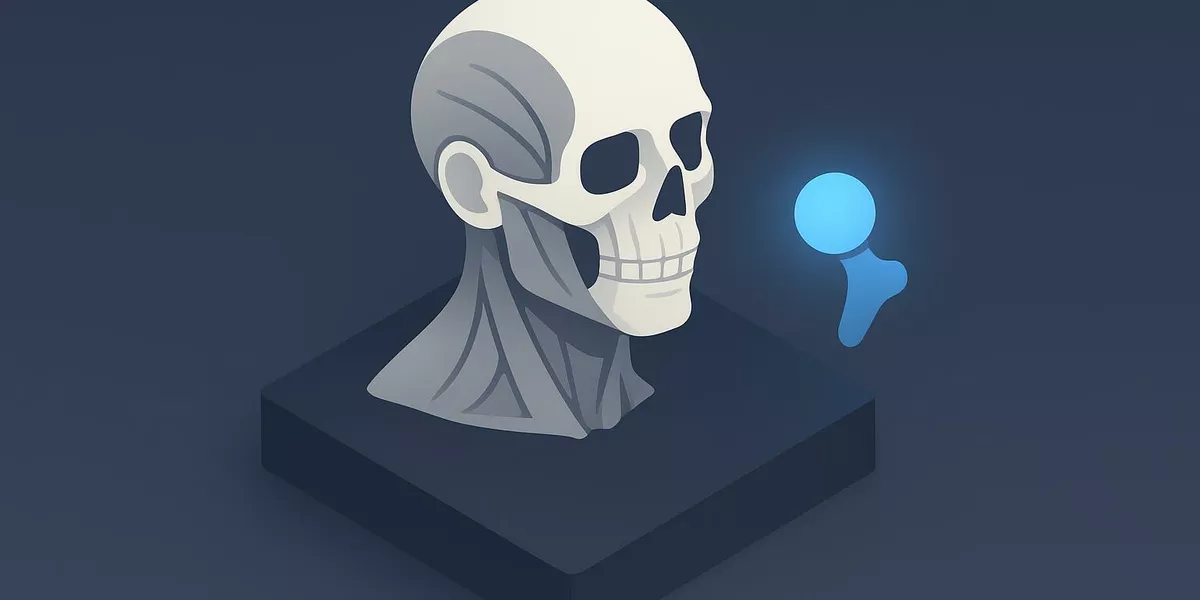 Caput - Anatomische Grundbegriffe - Illustration