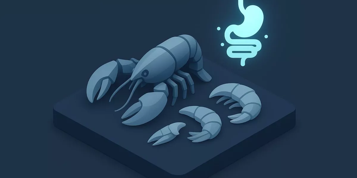 Chitosan - Nährstoff in der Ernährung - Illustration