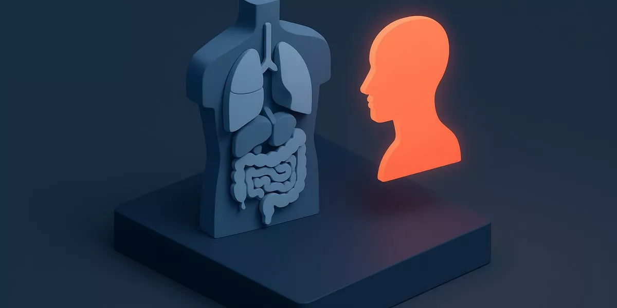 Internus - Anatomische Grundbegriffe - Illustration
