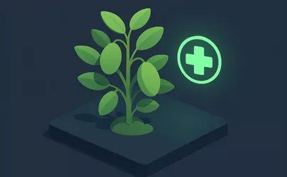 Phytosterine - Nährstoffe in der Ernährung - Illustration