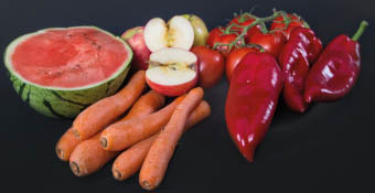 Ernährung