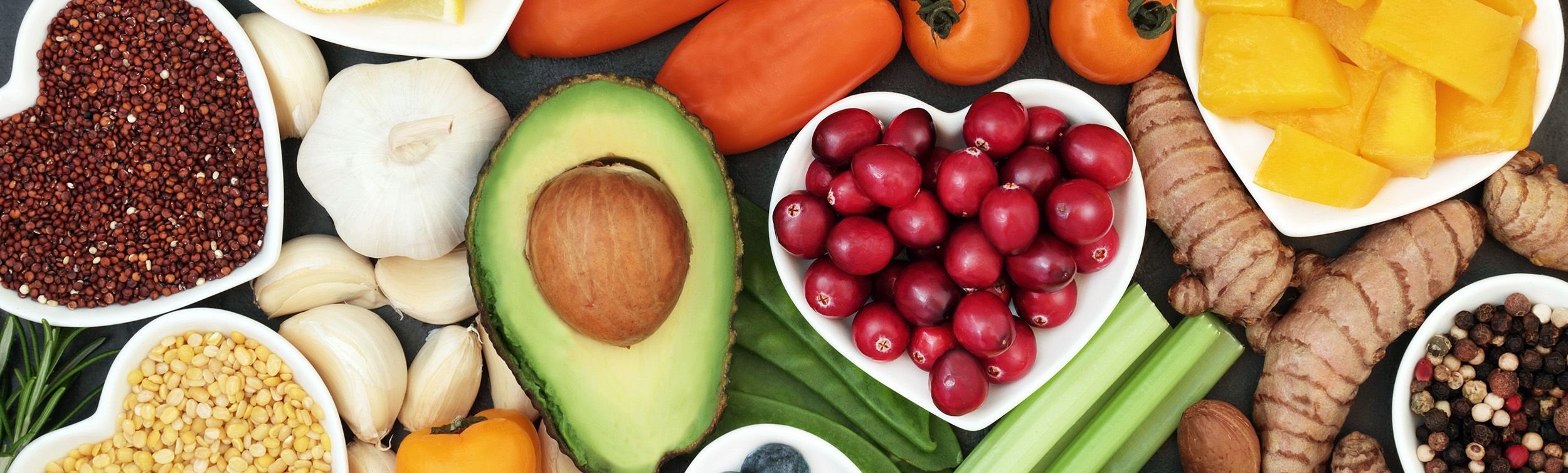 Workshops für Ernährungsberater | Ernährungsberater Weiterbildung
